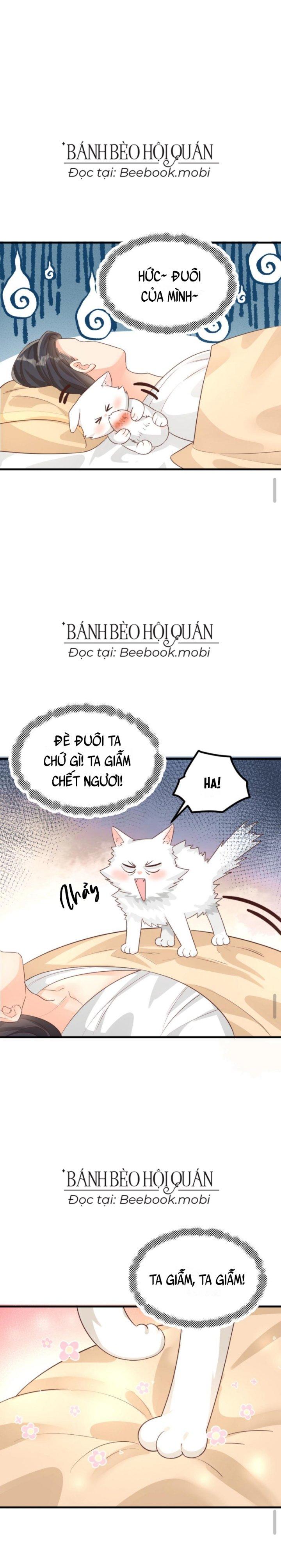 Bắt Ta Làm Cung Nữ? Ta Liền Cho Bạo Quân Quỳ Ván Giặt Đồ!!!! Chapter 193 - Trang 2