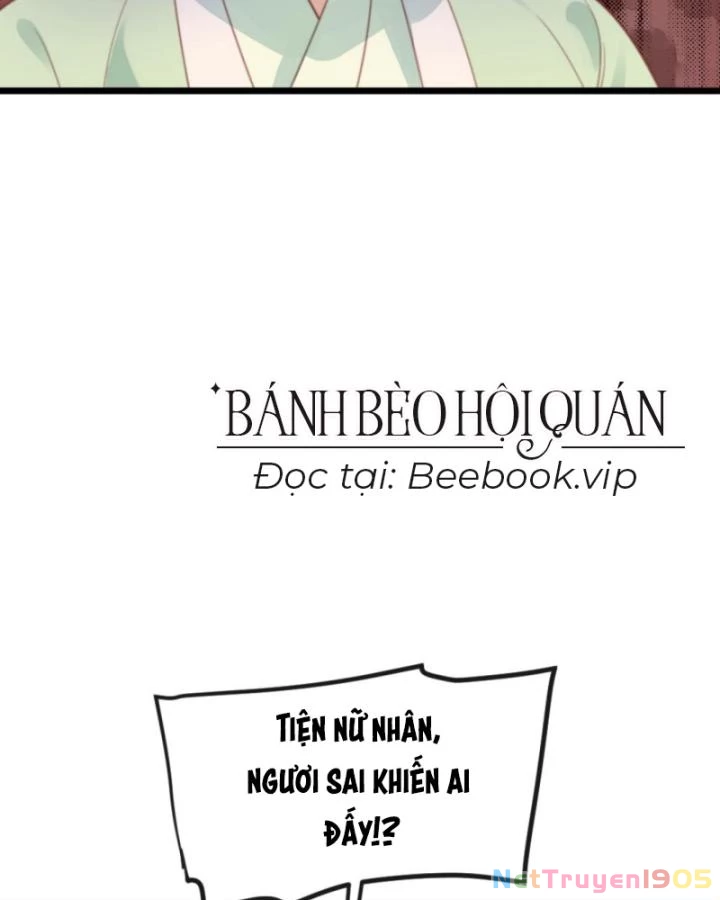 Bắt Ta Làm Cung Nữ? Ta Liền Cho Bạo Quân Quỳ Ván Giặt Đồ!!!! Chapter 239 - Trang 2