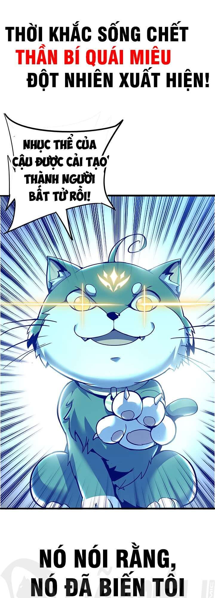 Bất Tử Thần Vương Tu Liên Tục Chapter 0 - Trang 2