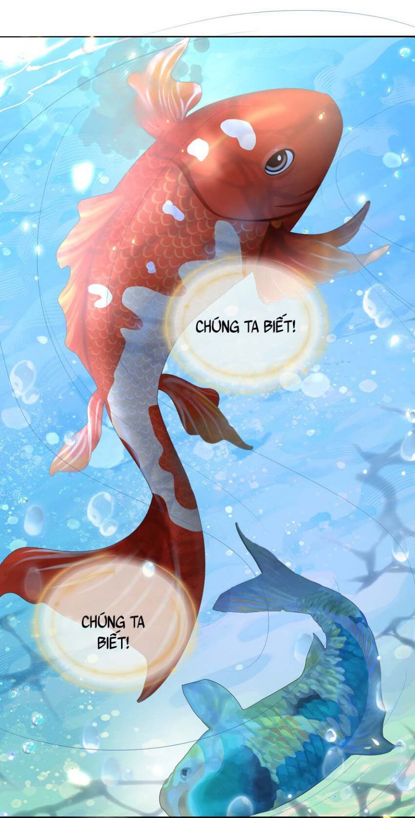 Bất Uổng Chapter 11 - Trang 2
