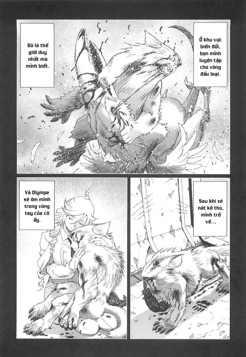 Battle Angel Alita Last Order Chapter 75 - Trang 2