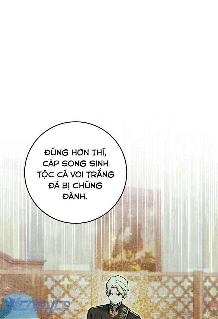 Bé Con Cá Voi Sát Thủ Chapter 17 - Trang 2