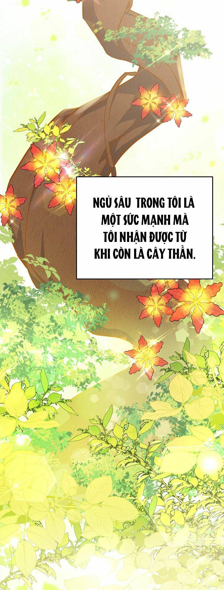 Bé Con Chốn Hoa Nở Chapter 21 - Trang 2