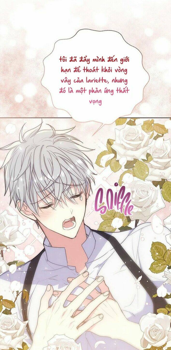 Bệ Hạ, Xin Đừng Giết Thần Nữa! Chapter 71 - Trang 2