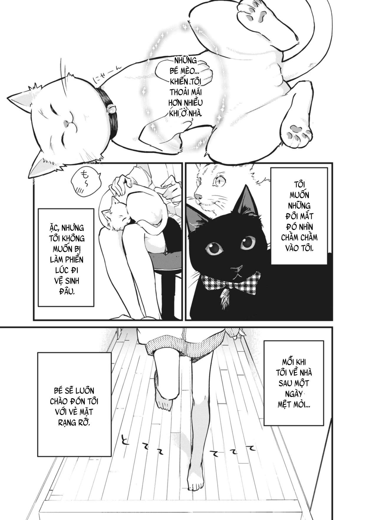 Bé Mèo Đang Chờ Tôi Ở Nhà Chapter 1 - Trang 2