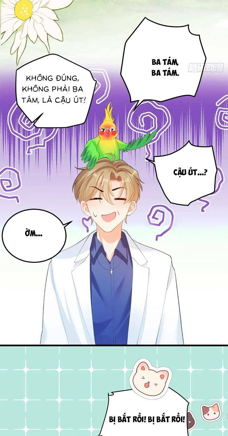 Bé Thóc Đáng Thương Được Tám Người Cậu Tranh Sủng Chapter 5 - Trang 2