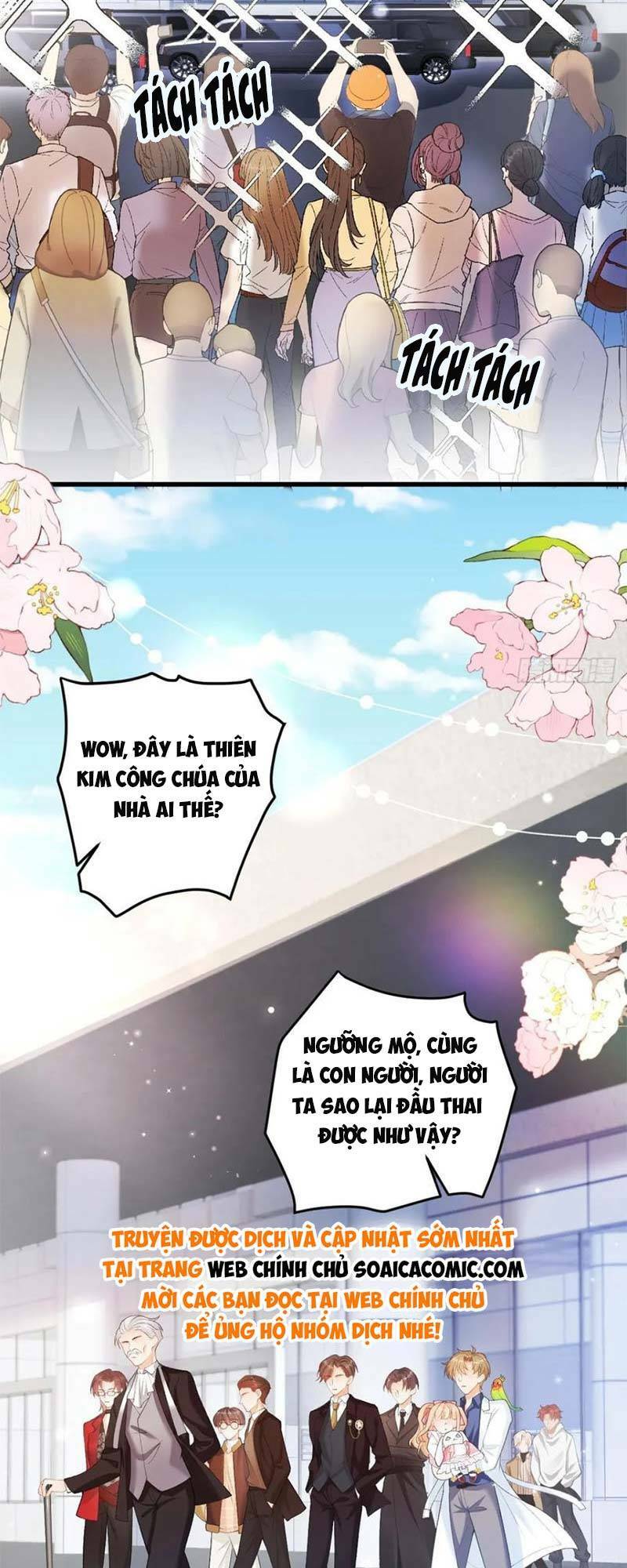 Bé Thóc Đáng Thương Được Tám Người Cậu Tranh Sủng Chapter 6 - Trang 2