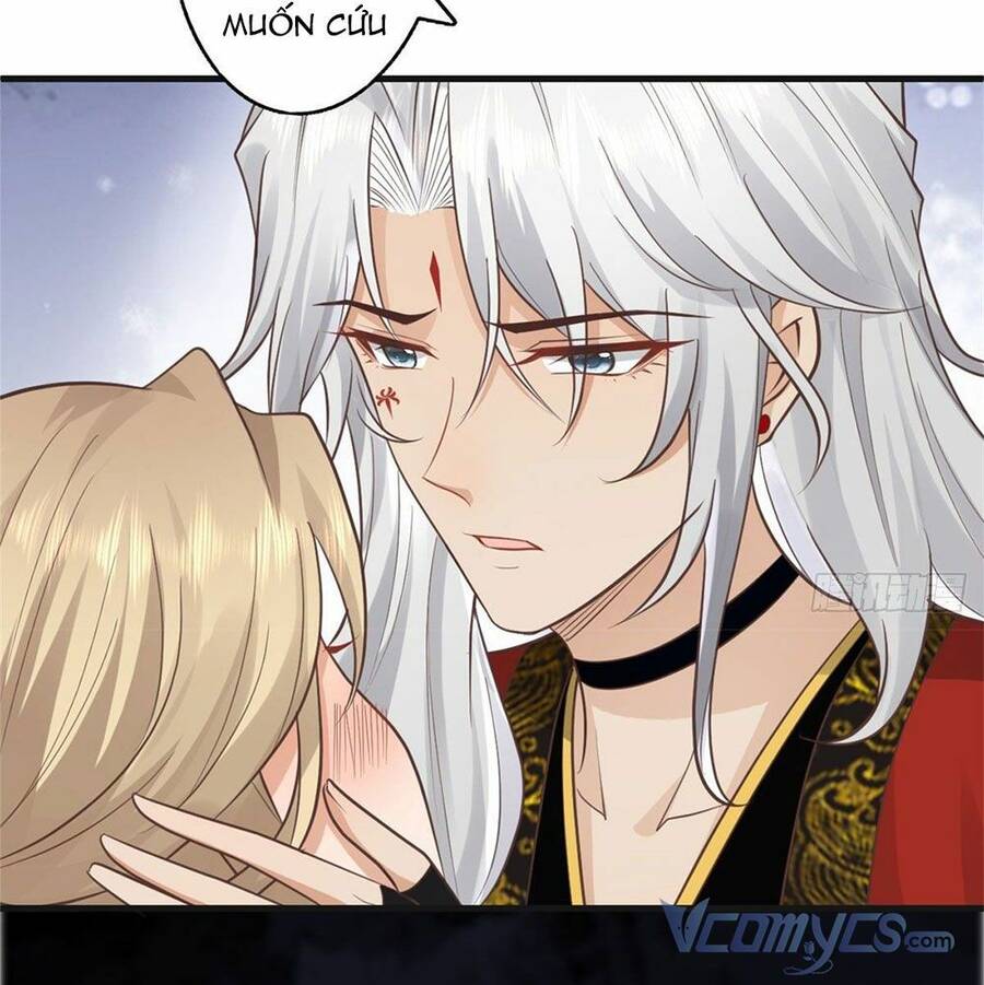 Bệnh Kiều Vương Gia Dựa Vào Ta Để Tiếp Tục Sống Chapter 22 - Trang 2