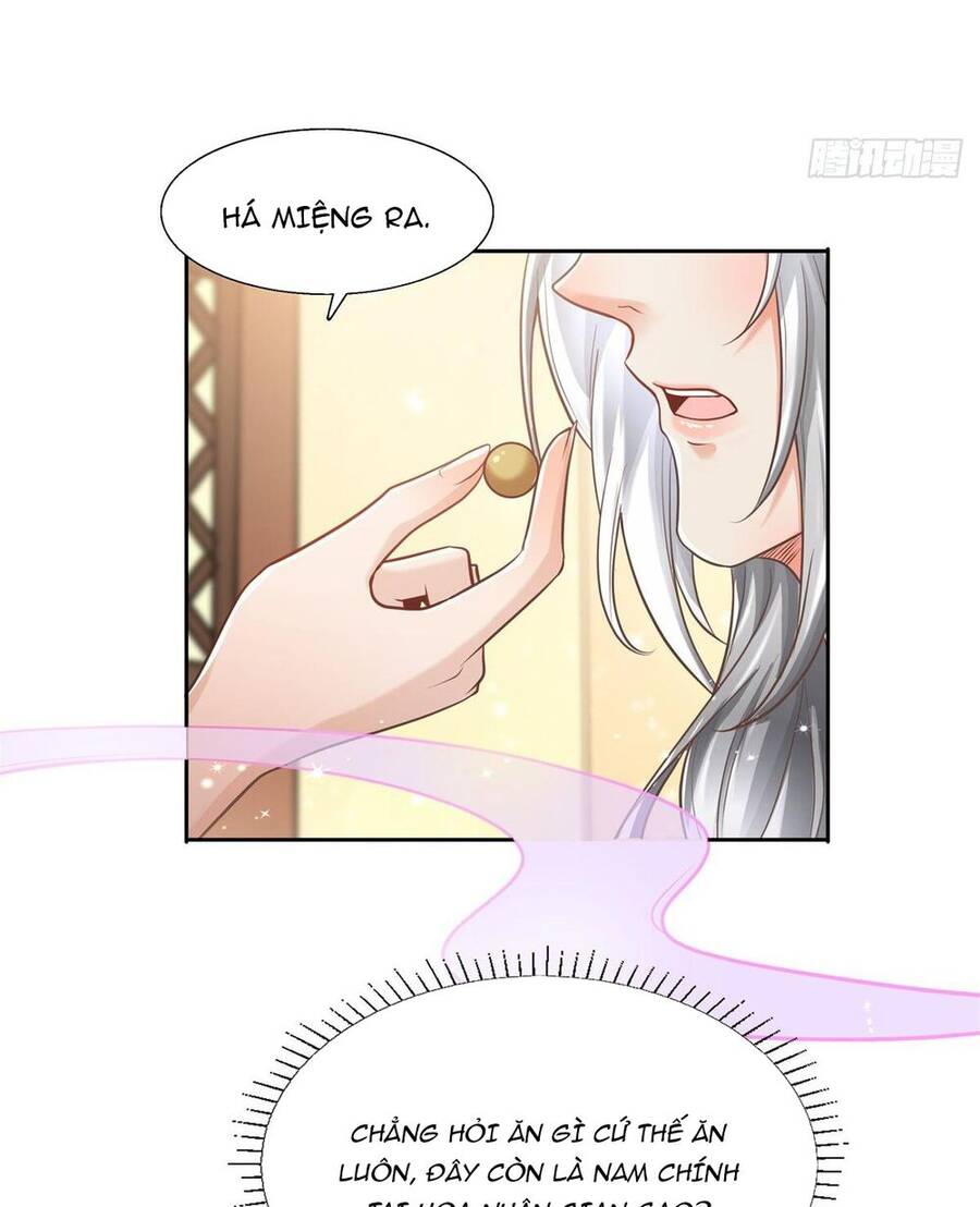 Bệnh Kiều Vương Gia Dựa Vào Ta Để Tiếp Tục Sống Chapter 4 - Trang 2