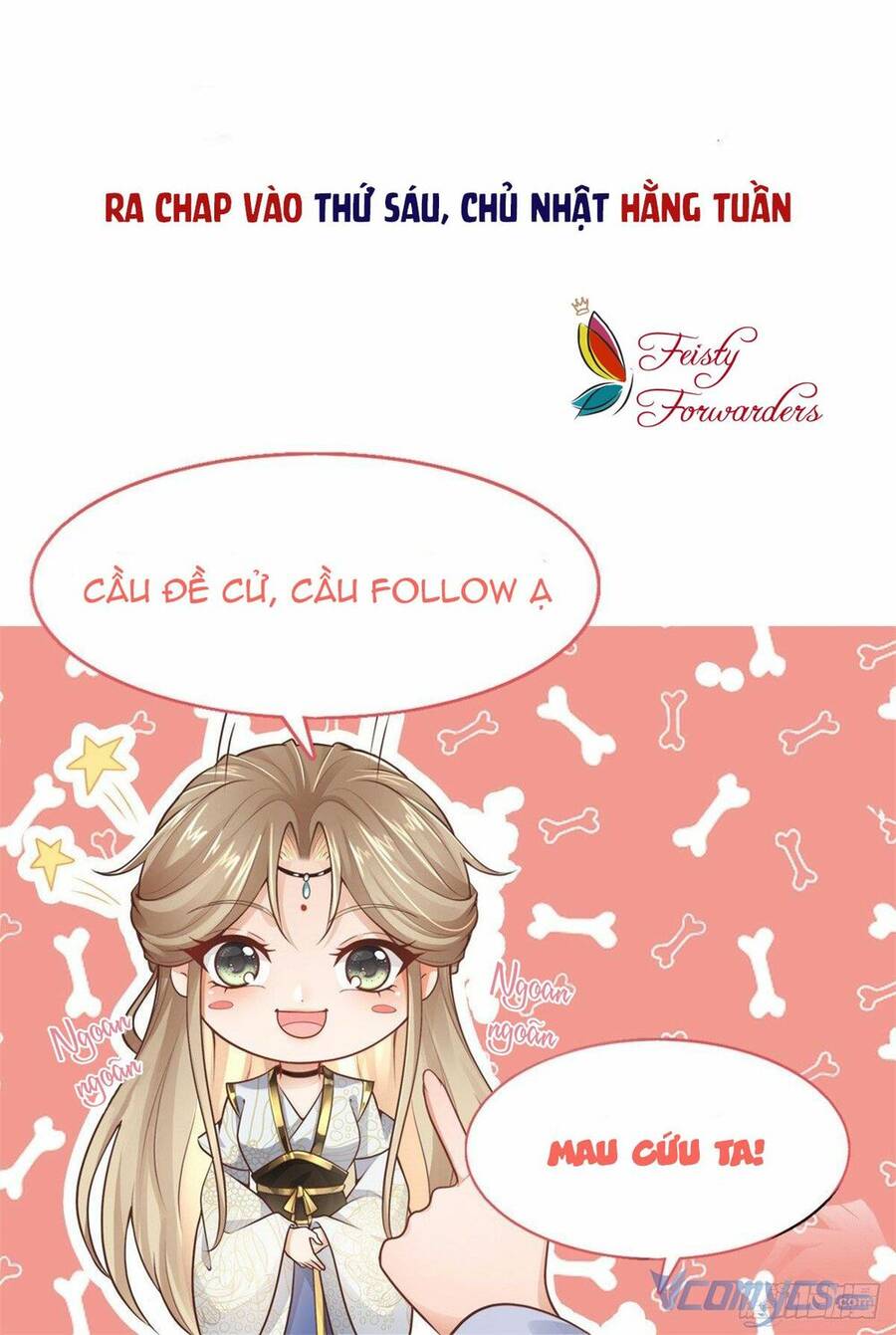 Bệnh Kiều Vương Gia Dựa Vào Ta Để Tiếp Tục Sống Chapter 6 - Trang 2