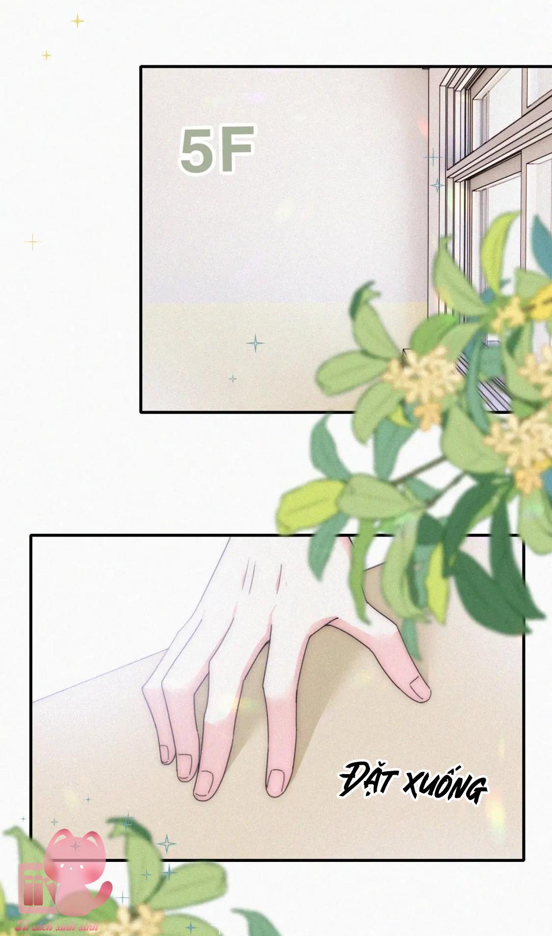 Bệnh Yêu Chapter 31 - Trang 2