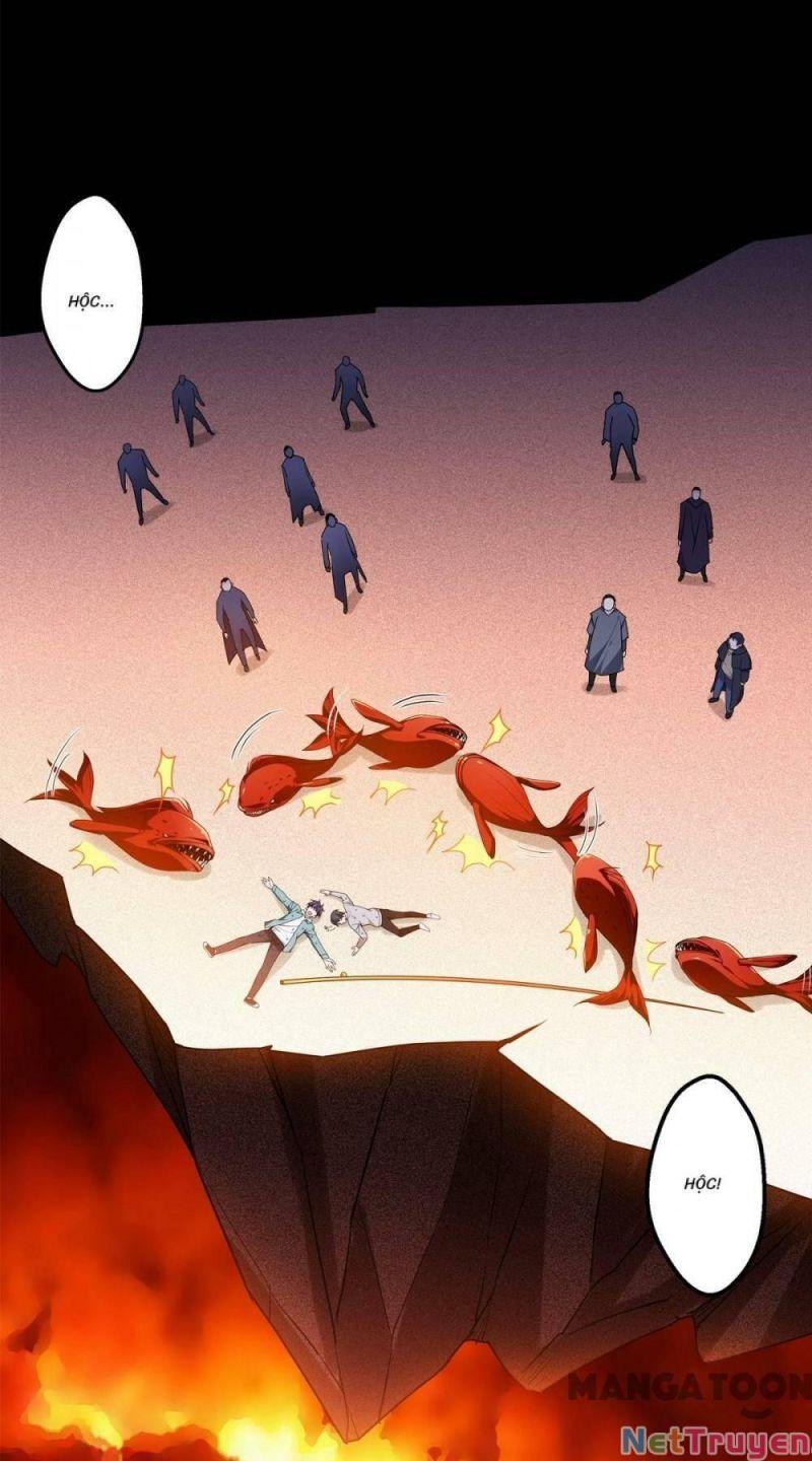 Bị Cắn Thành Vương Giả Chapter 10 - Trang 2