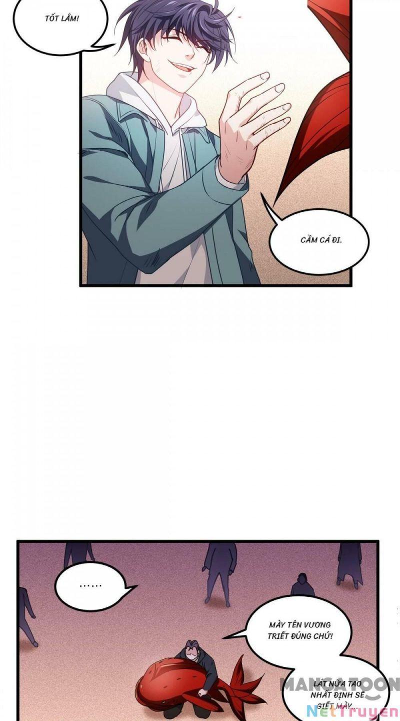 Bị Cắn Thành Vương Giả Chapter 10 - Trang 2