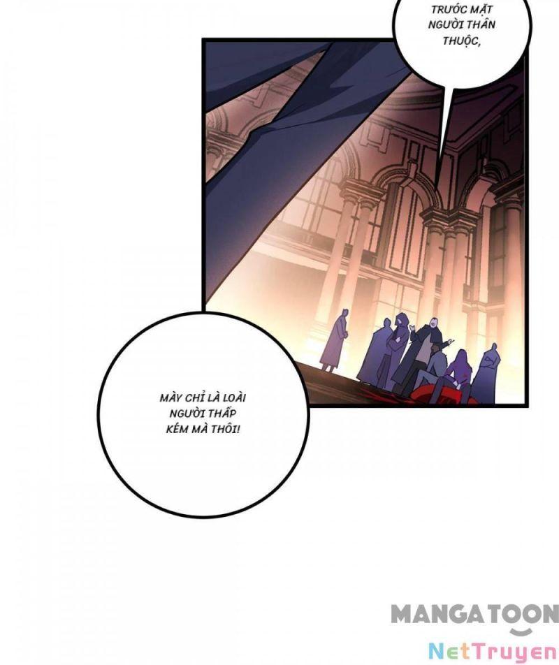 Bị Cắn Thành Vương Giả Chapter 12 - Trang 2
