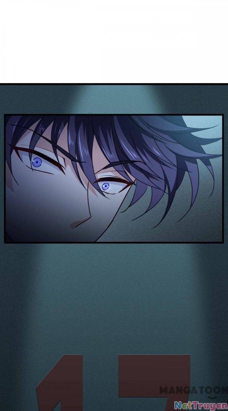 Bị Cắn Thành Vương Giả Chapter 13 - Trang 2