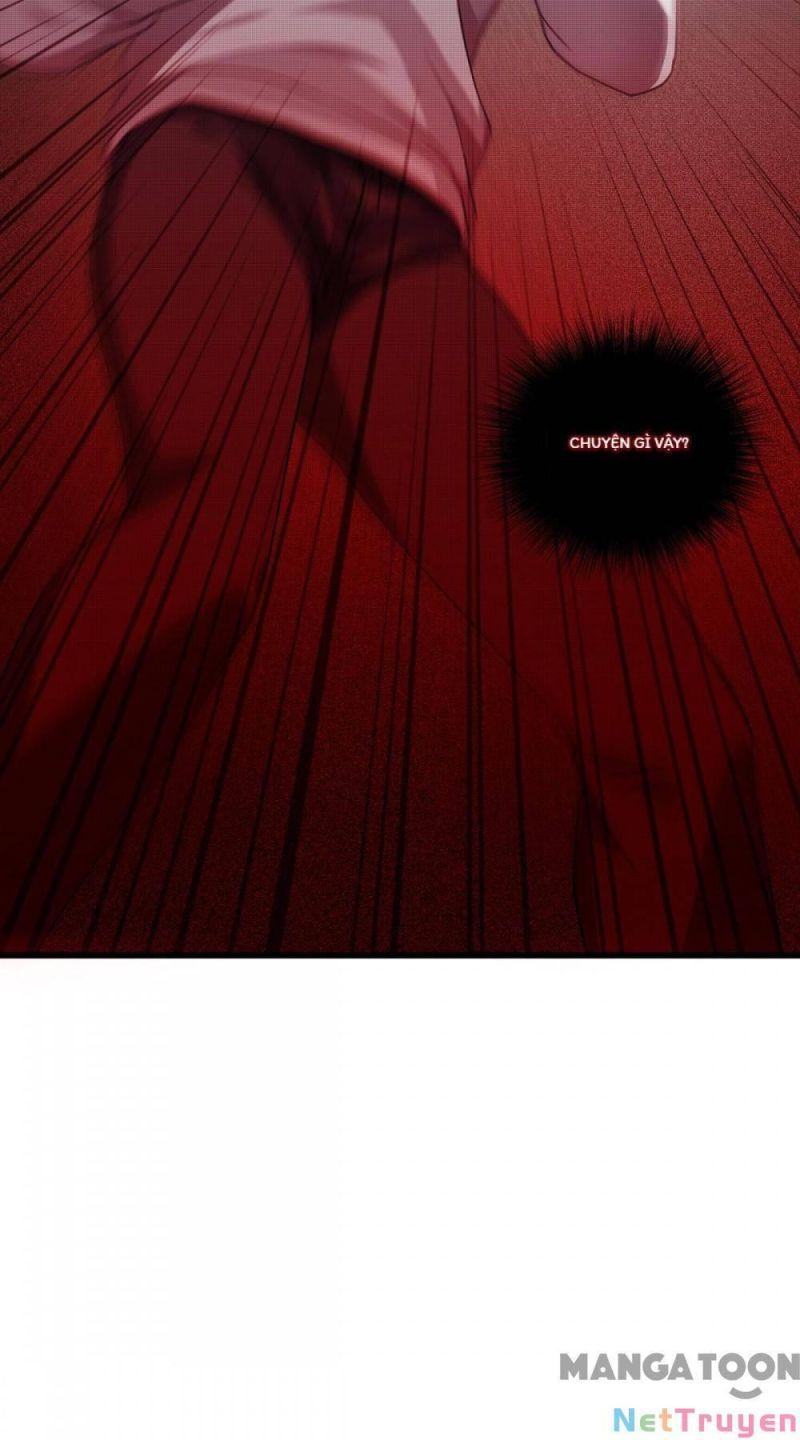Bị Cắn Thành Vương Giả Chapter 14 - Trang 2