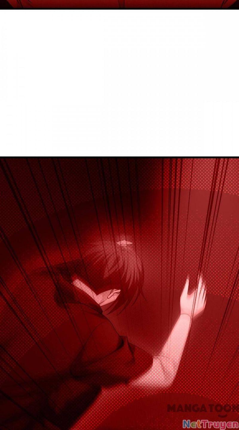 Bị Cắn Thành Vương Giả Chapter 14 - Trang 2