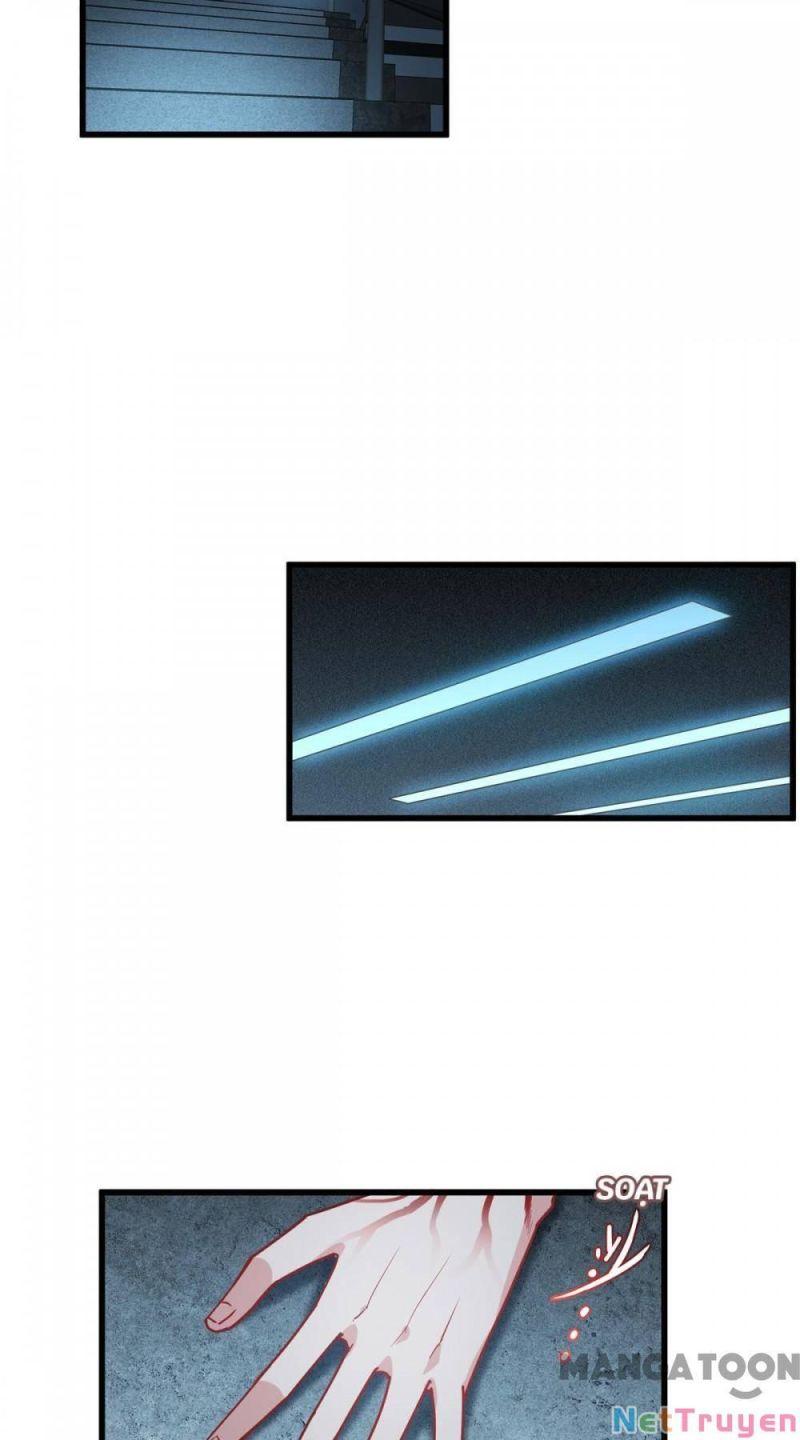 Bị Cắn Thành Vương Giả Chapter 15 - Trang 2