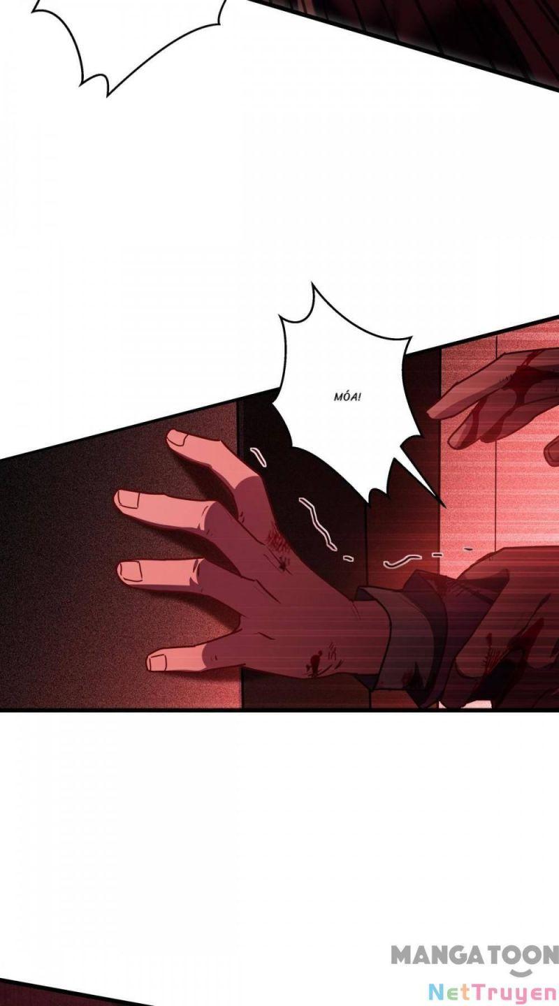 Bị Cắn Thành Vương Giả Chapter 17 - Trang 2