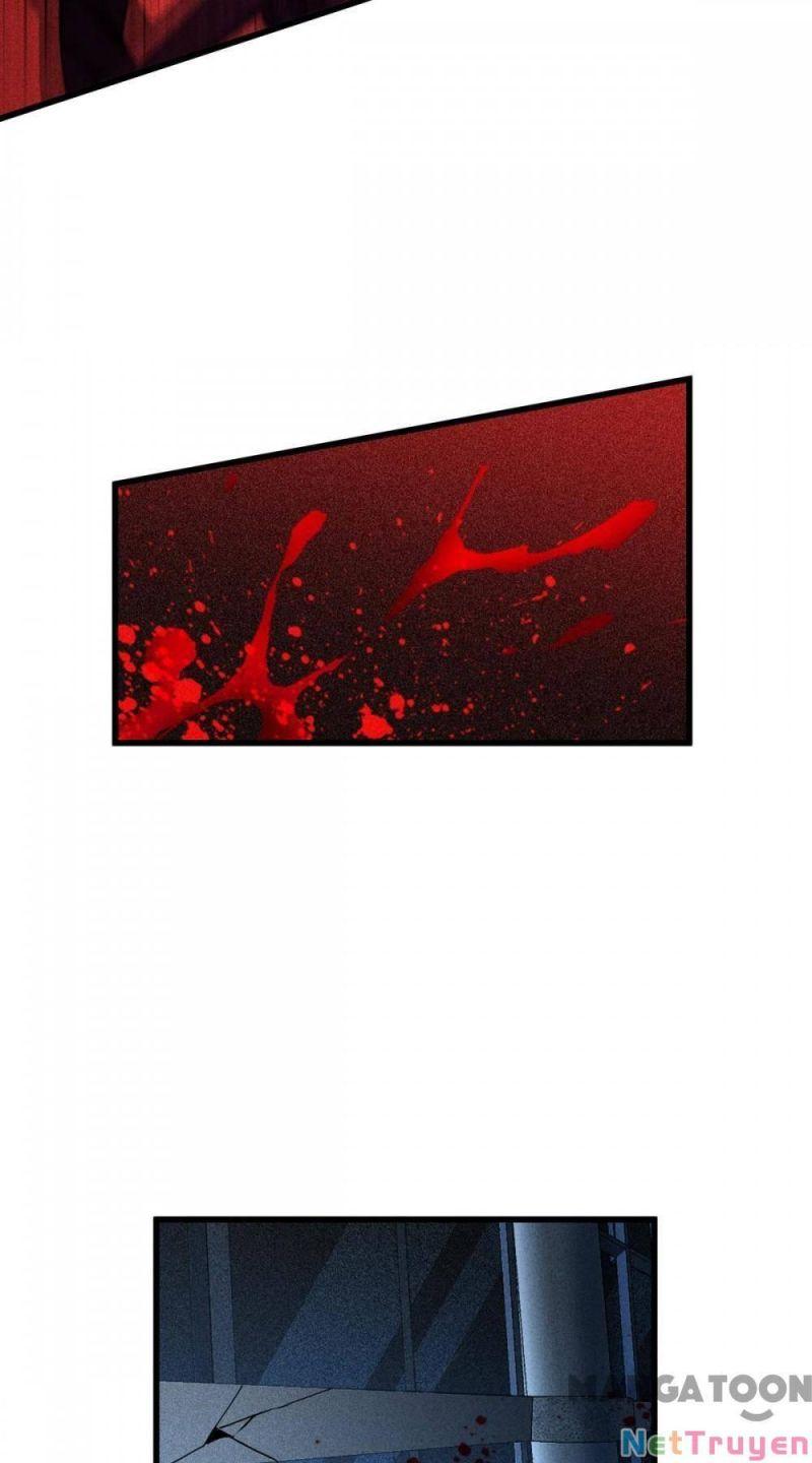 Bị Cắn Thành Vương Giả Chapter 17 - Trang 2