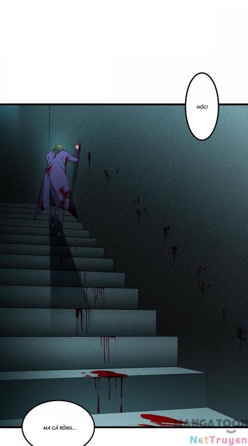 Bị Cắn Thành Vương Giả Chapter 17 - Trang 2