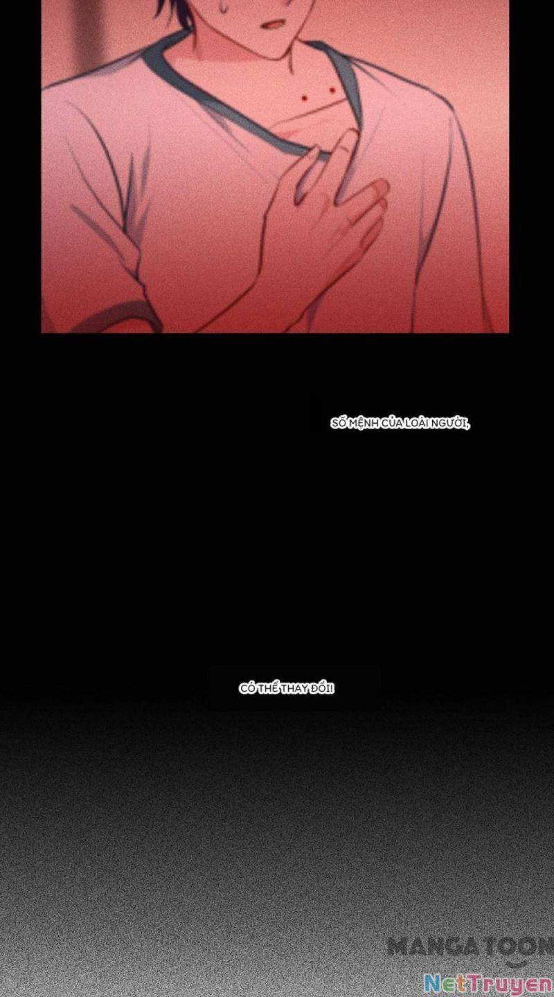 Bị Cắn Thành Vương Giả Chapter 18 - Trang 2