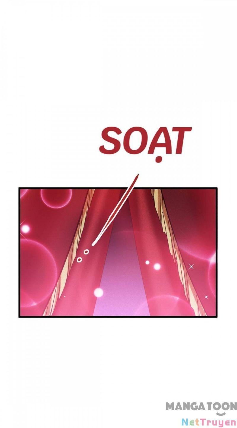 Bị Cắn Thành Vương Giả Chapter 19 - Trang 2