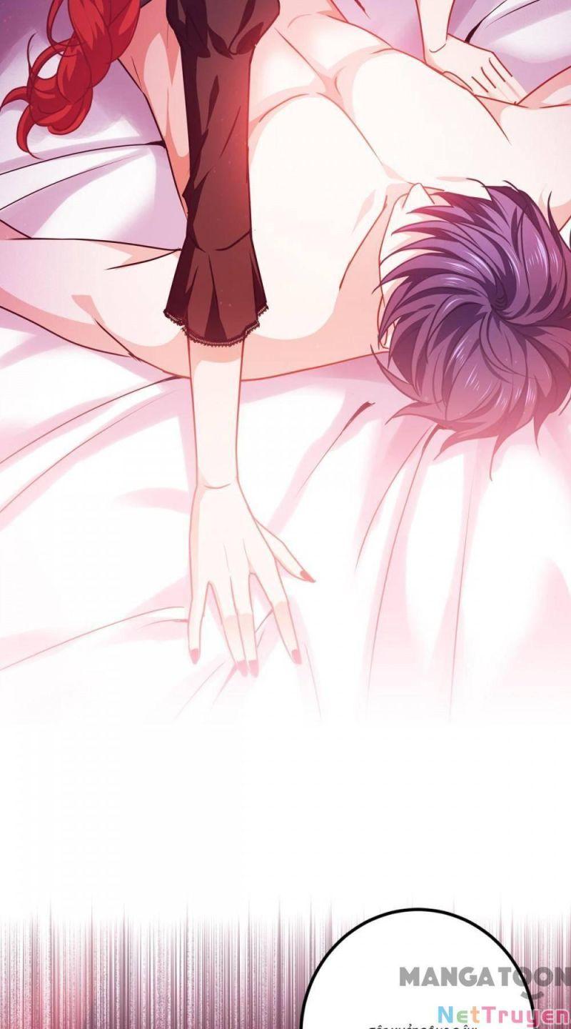 Bị Cắn Thành Vương Giả Chapter 19 - Trang 2