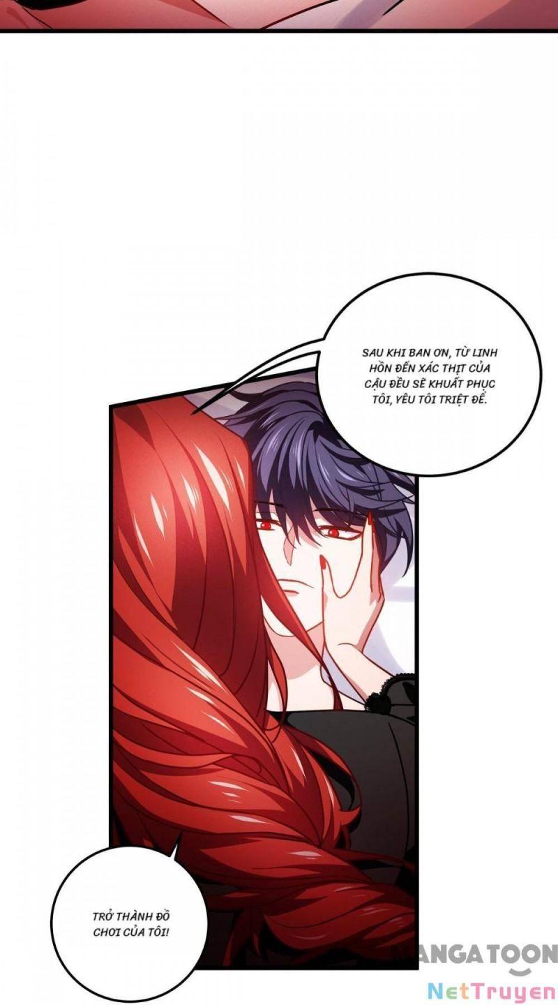 Bị Cắn Thành Vương Giả Chapter 20 - Trang 2