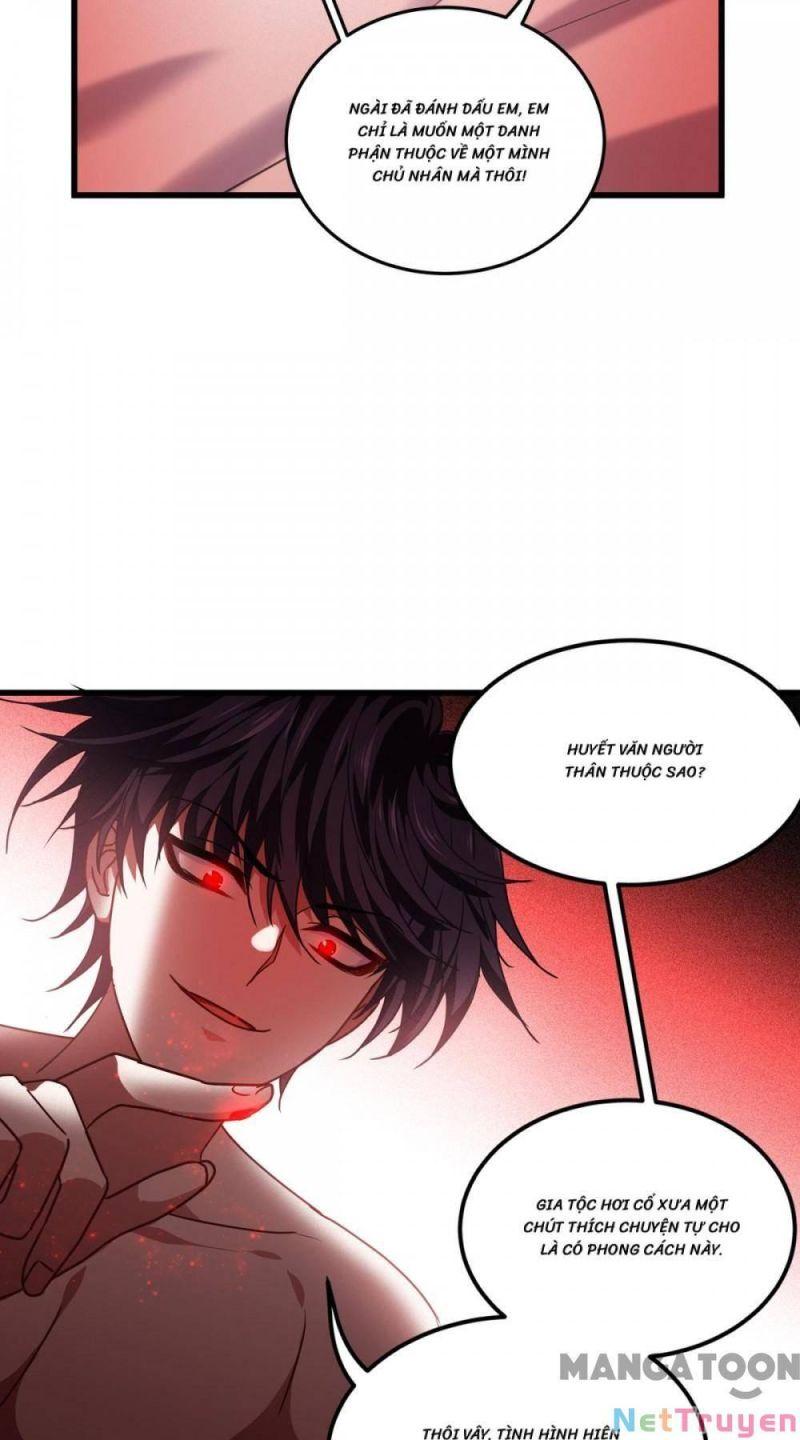 Bị Cắn Thành Vương Giả Chapter 21 - Trang 2
