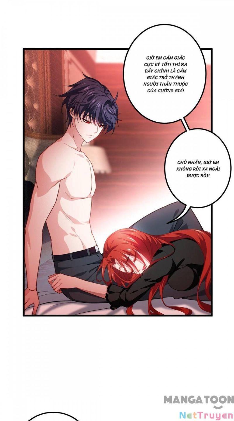 Bị Cắn Thành Vương Giả Chapter 21 - Trang 2