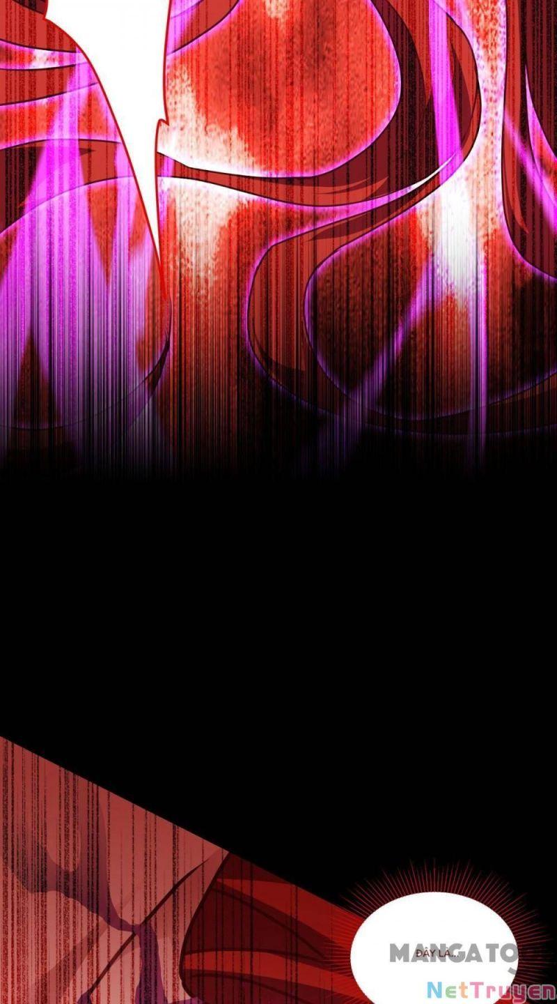 Bị Cắn Thành Vương Giả Chapter 21 - Trang 2