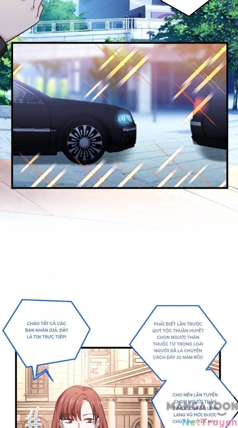 Bị Cắn Thành Vương Giả Chapter 22 - Trang 2