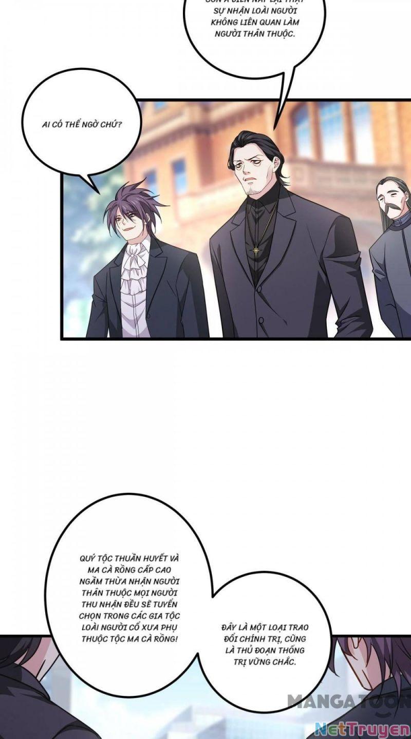 Bị Cắn Thành Vương Giả Chapter 22 - Trang 2