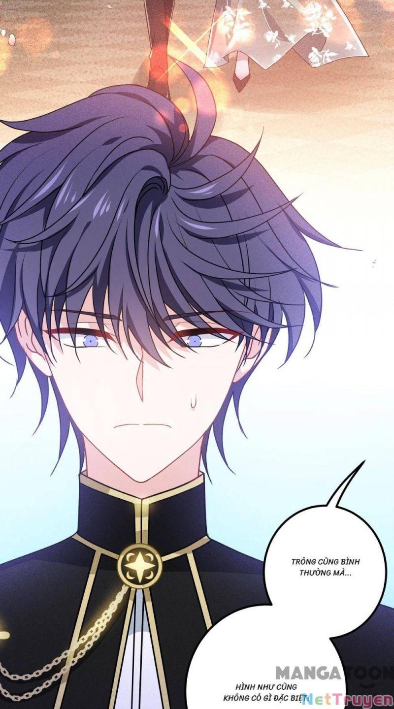 Bị Cắn Thành Vương Giả Chapter 22 - Trang 2