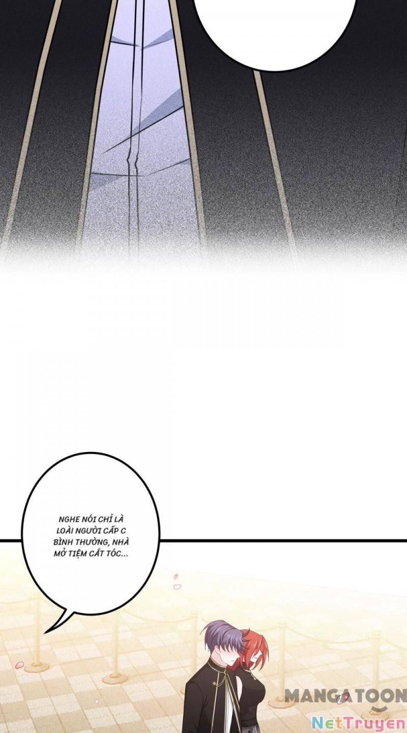 Bị Cắn Thành Vương Giả Chapter 22 - Trang 2