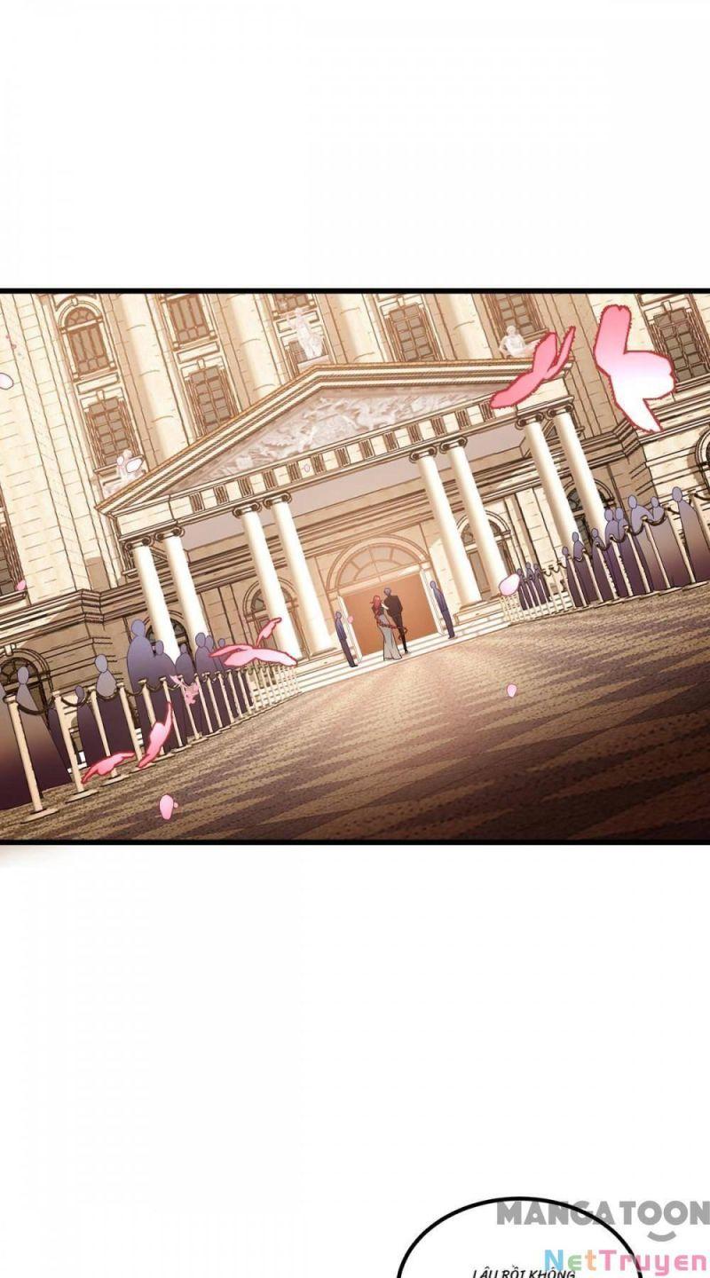 Bị Cắn Thành Vương Giả Chapter 22 - Trang 2
