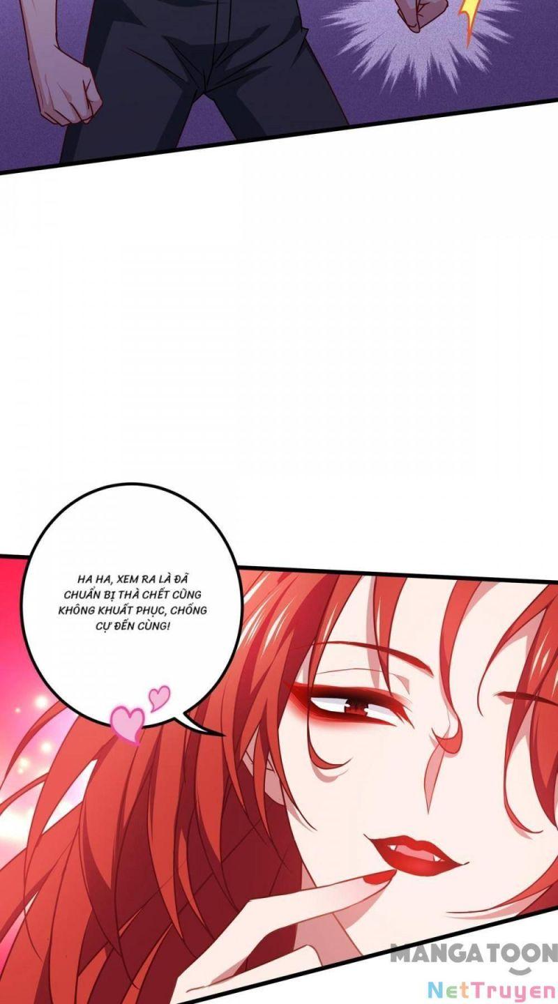 Bị Cắn Thành Vương Giả Chapter 22 - Trang 2
