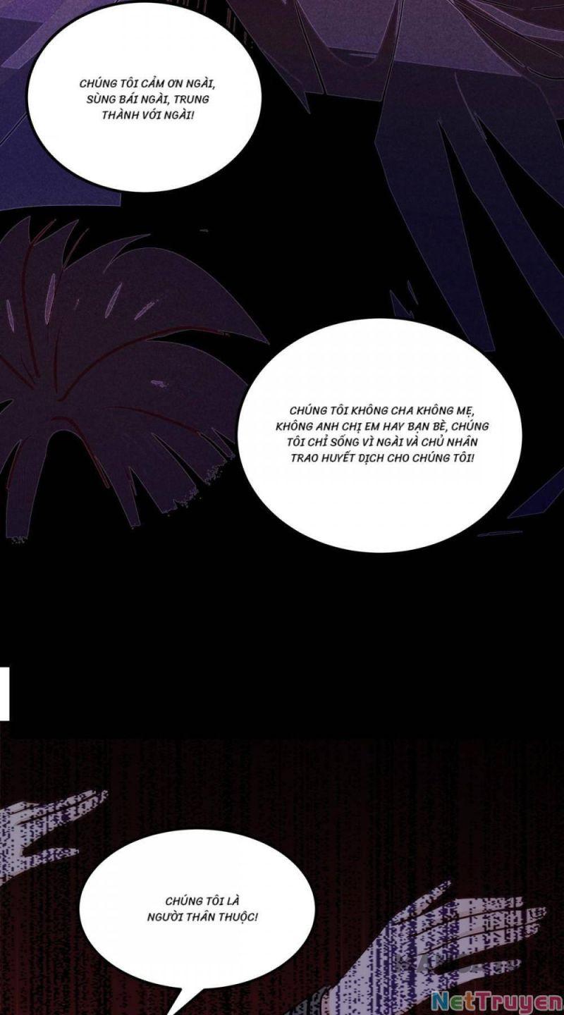 Bị Cắn Thành Vương Giả Chapter 23 - Trang 2