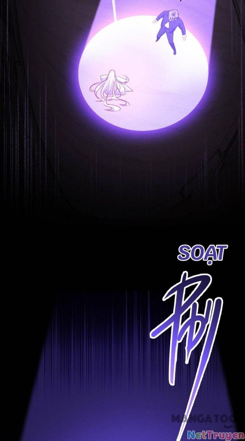 Bị Cắn Thành Vương Giả Chapter 24 - Trang 2