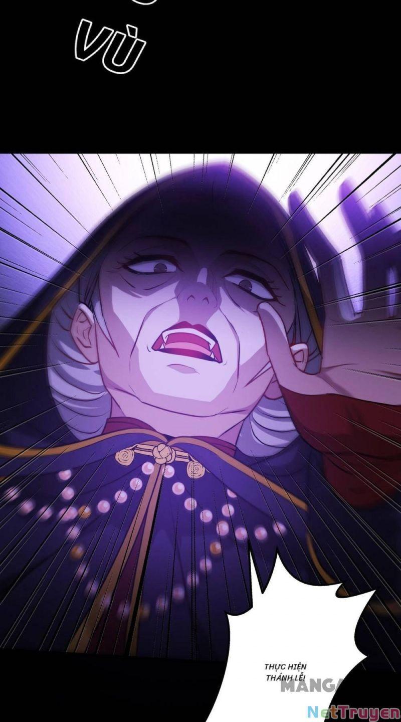 Bị Cắn Thành Vương Giả Chapter 24 - Trang 2