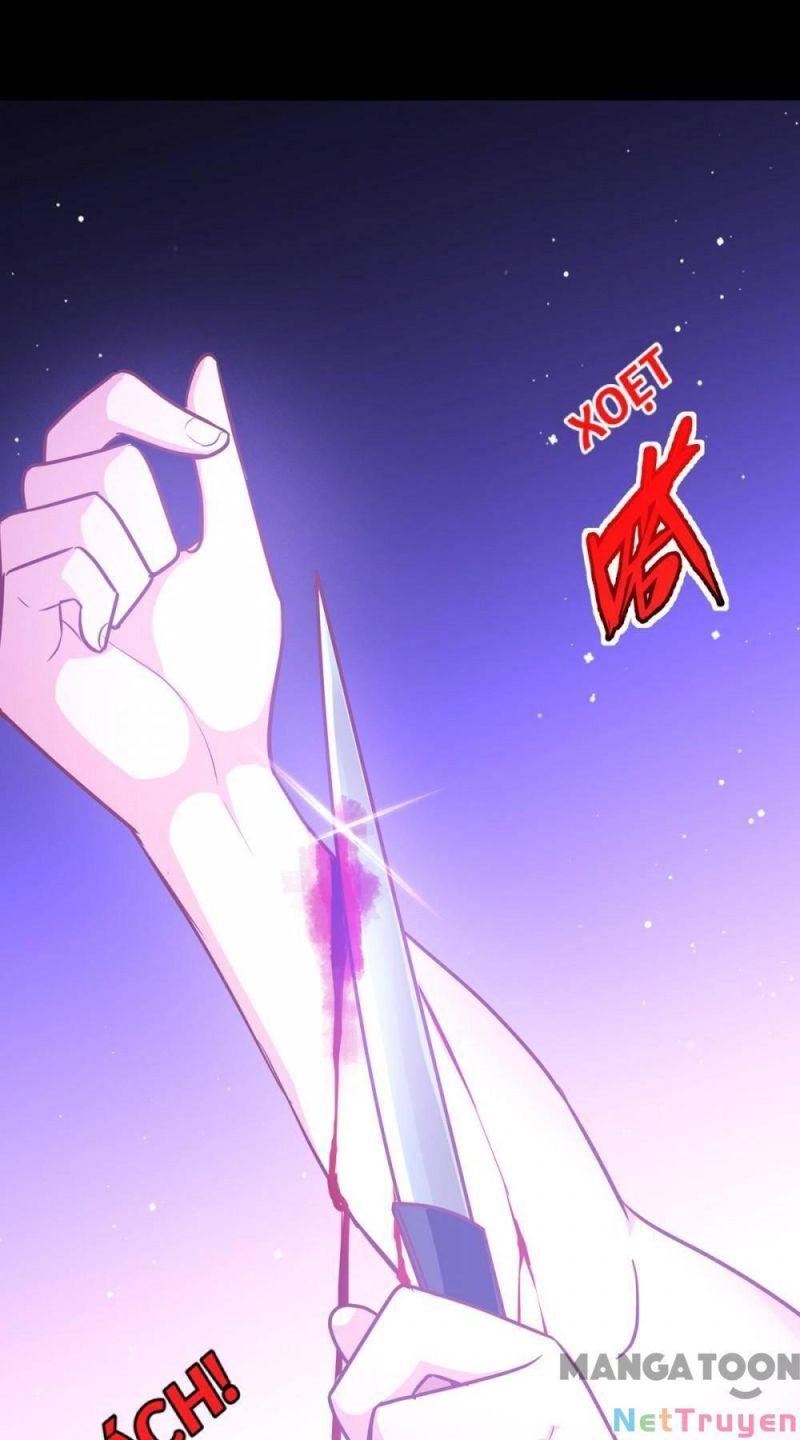 Bị Cắn Thành Vương Giả Chapter 24 - Trang 2