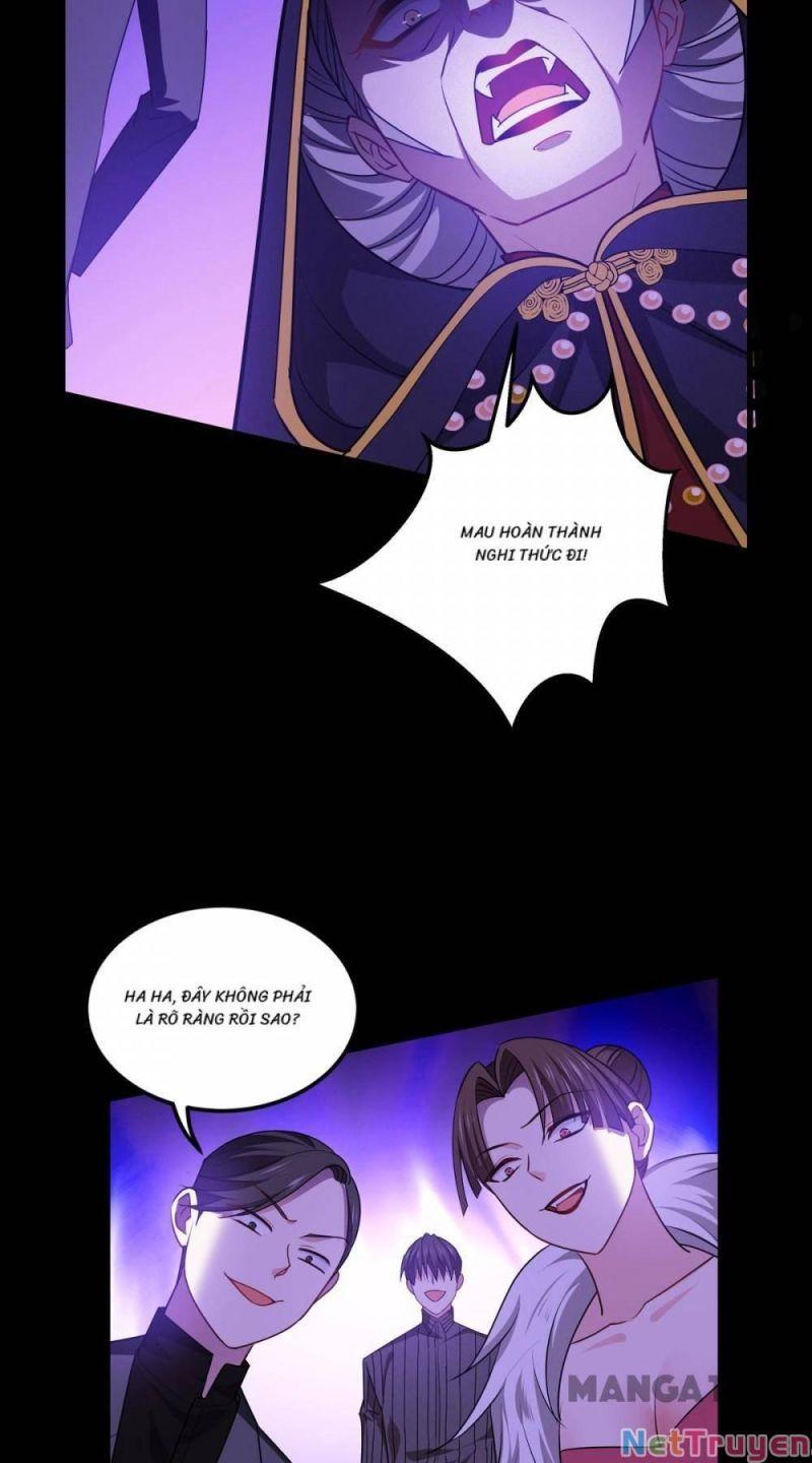 Bị Cắn Thành Vương Giả Chapter 24 - Trang 2