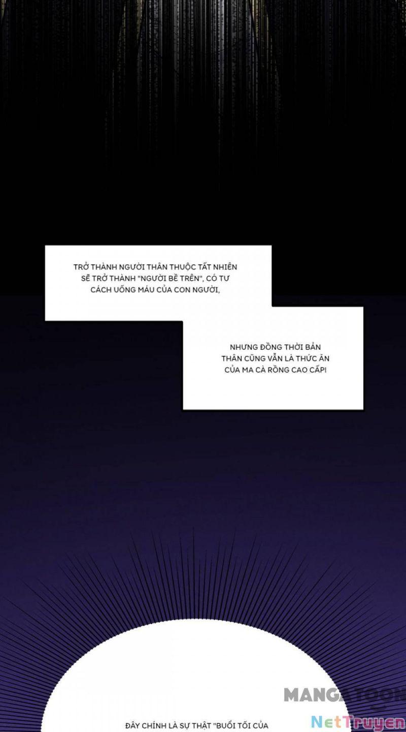 Bị Cắn Thành Vương Giả Chapter 24 - Trang 2