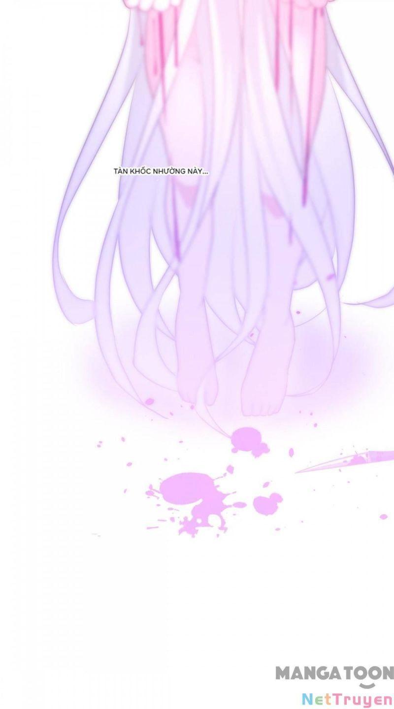 Bị Cắn Thành Vương Giả Chapter 24 - Trang 2