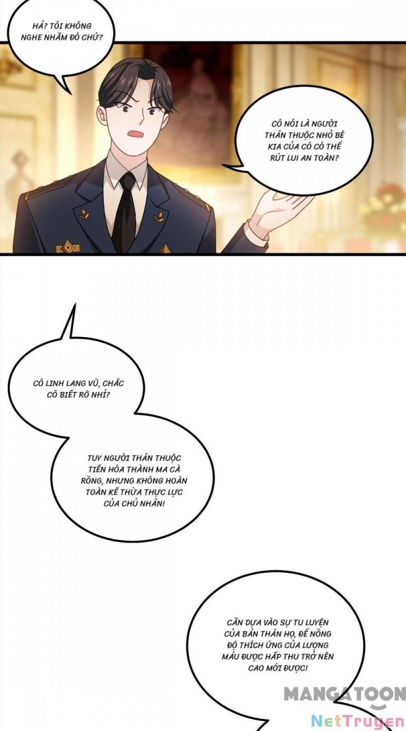 Bị Cắn Thành Vương Giả Chapter 25 - Trang 2