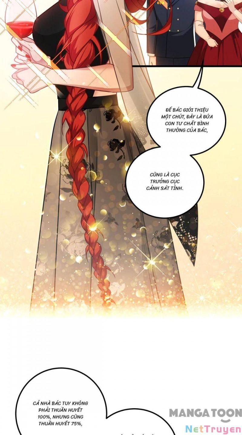 Bị Cắn Thành Vương Giả Chapter 25 - Trang 2