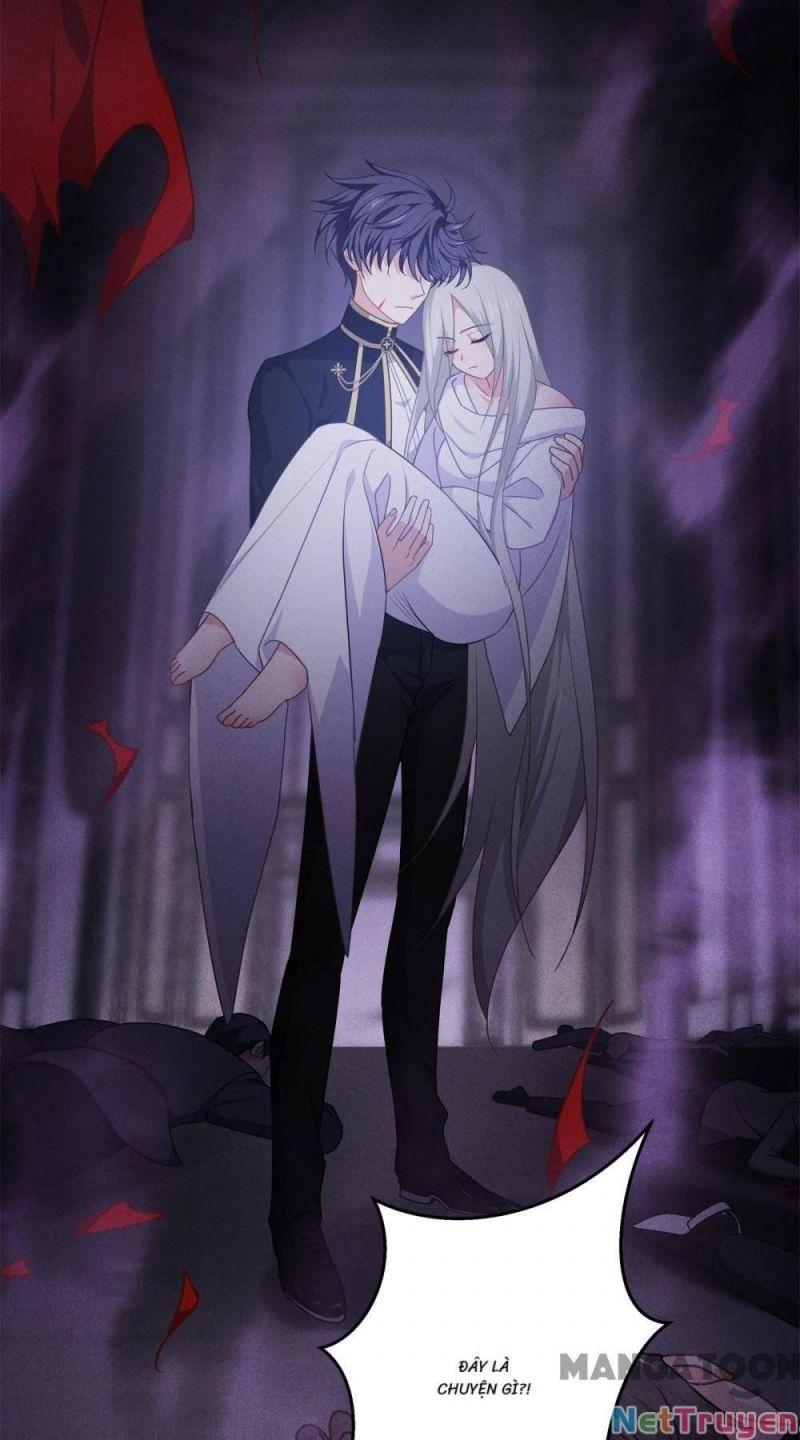 Bị Cắn Thành Vương Giả Chapter 25 - Trang 2