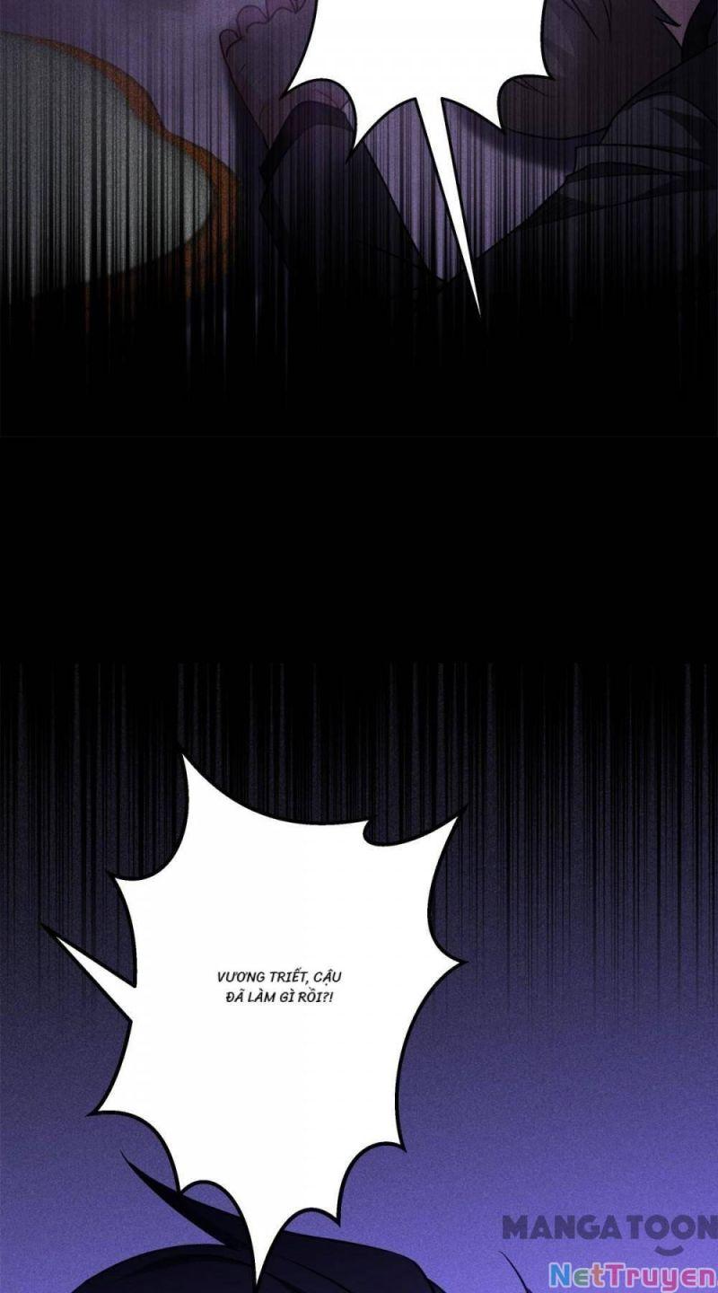 Bị Cắn Thành Vương Giả Chapter 25 - Trang 2