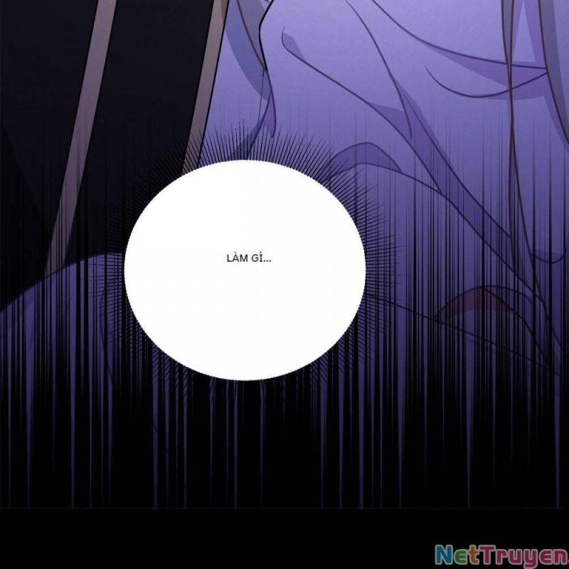 Bị Cắn Thành Vương Giả Chapter 25 - Trang 2